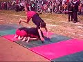 Jimnastik Ekibimiz Jimnastik Ekibimiz