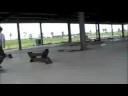 just another skate video