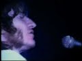 YOU AM I's Tim Rogers Hourly Daily