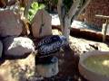 videos de Jungle park tenerife7.AVI