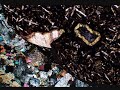 Petrologia Magmática (Tópico 2 Texturas, Video 1)