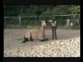 Video ansehen