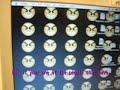Screen Zoom and Auditory Processing Disability