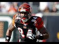 T.J. Houshmandzadeh #1