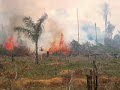 Amazon Deforestation (Sawyer and Lantz)