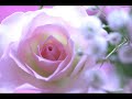 Antonio Vivaldi (G. M. Ruggieri): Gloria for 2 cori & 2 orchestras in D major (RV Anh. 23) - I. VII.