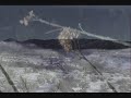 End of the Road