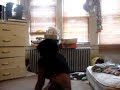 kima playing around