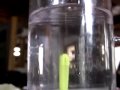 Make a Cartesian Diver Part 2