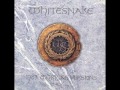 Whitesnake%20-%20Standing%20in%20the%20Shadow