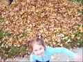 Playing in the leaves Playing in the leaves