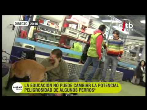 Imagen de previsualización de YouTube
