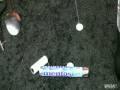 Coca Mentos Blague