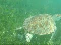 TOBAGO CAYS