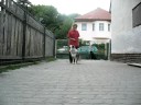 Tanec se psem