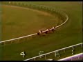 John Henry - 1984 Golden Gate Handicap John Henry - 1984 Golden Gate Handicap