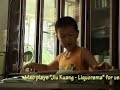 Guqin player - Mao HuiSheng 2003 Guqin player - Mao HuiSheng 2003