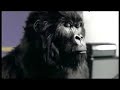 Cadbury Gorilla remix - Deep Purple