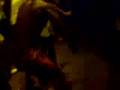 Lindigo au Divan du monde(5)