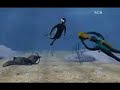 �Como murio Steve Irwin?