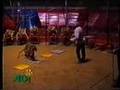 Stop Circus Suffering, including UK footage