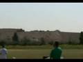 Trex 600 3D Flight