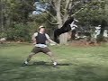 The Art of K9Disc Show Trailer