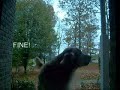 Talking dog