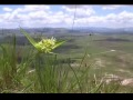 Clickbv fazendo Parapente e 4x4 na Venezuela