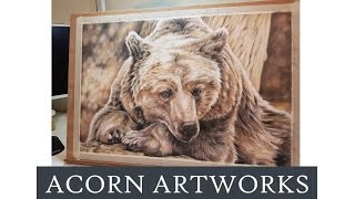 Grizzly Bear in Coloured Pencils (Quick View)