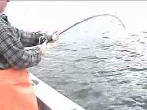 Fishing Trip To Admiralty Island - ...