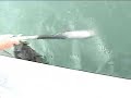 Fishing Trip To Admiralty Island - Alaska