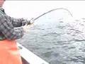 Fishing Trip To Admiralty Island - Alaska