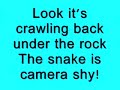 Water Snake ~ Water Snake ~
