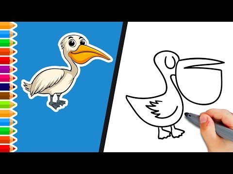 video-linktoworks-Animal Drawings How To Draw A Pelican STEP BY STEP FOR...