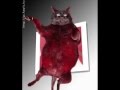 jokis tv: labaj geras filmas from lithuania