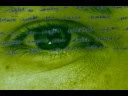 videos de Insomniac - Sylvia Plath
