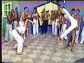 Ver Video
