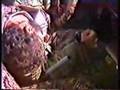 SADDAM 'S CHEMICAL MASSACRE AGAINIST KURDS KURDISTAN