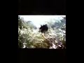 Fat boy glitch