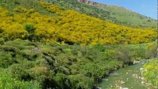 وادي الحنداج الأعلى في الجليل الأعلى فلسطين مذهل ورائع  נחל דישון עליון وادي الحنداج الأعلى في الجليل الأعلى فلسطين مذهل ورائع  נחל דישון עליון