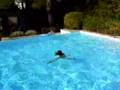 clip video Peter Pan Aucun Bruit / Prends �a / Je Suis Un Poisson/ App�t Pour Crocodile / Le H�ros