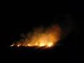 Burning off at Galiwinku