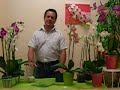 www.orquideaselexperto.blogspot.com   Este es un video para ayudar a todos aquellos que tienen dudas sobre el cuidado de las orquideas, y la solución sobre como regarlas... Espero que sea util.