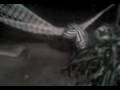 videos de jotero aweonao