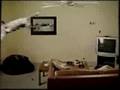flying cat