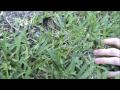 Man vs Wild BLOOPERS