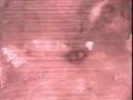 videos de A Beautiful Return!