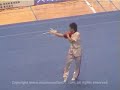 THE essence of chinese wushu 2 &BEIJING WU SHU TEAM