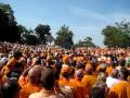 Volwalk 2009